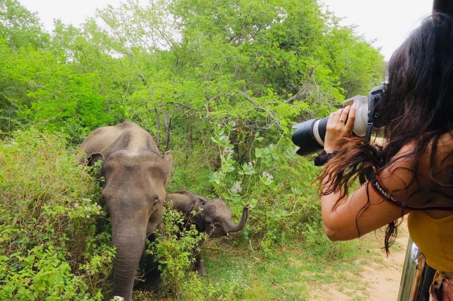 A photographer taking pictures of an elephant and calf from a safari vehicle