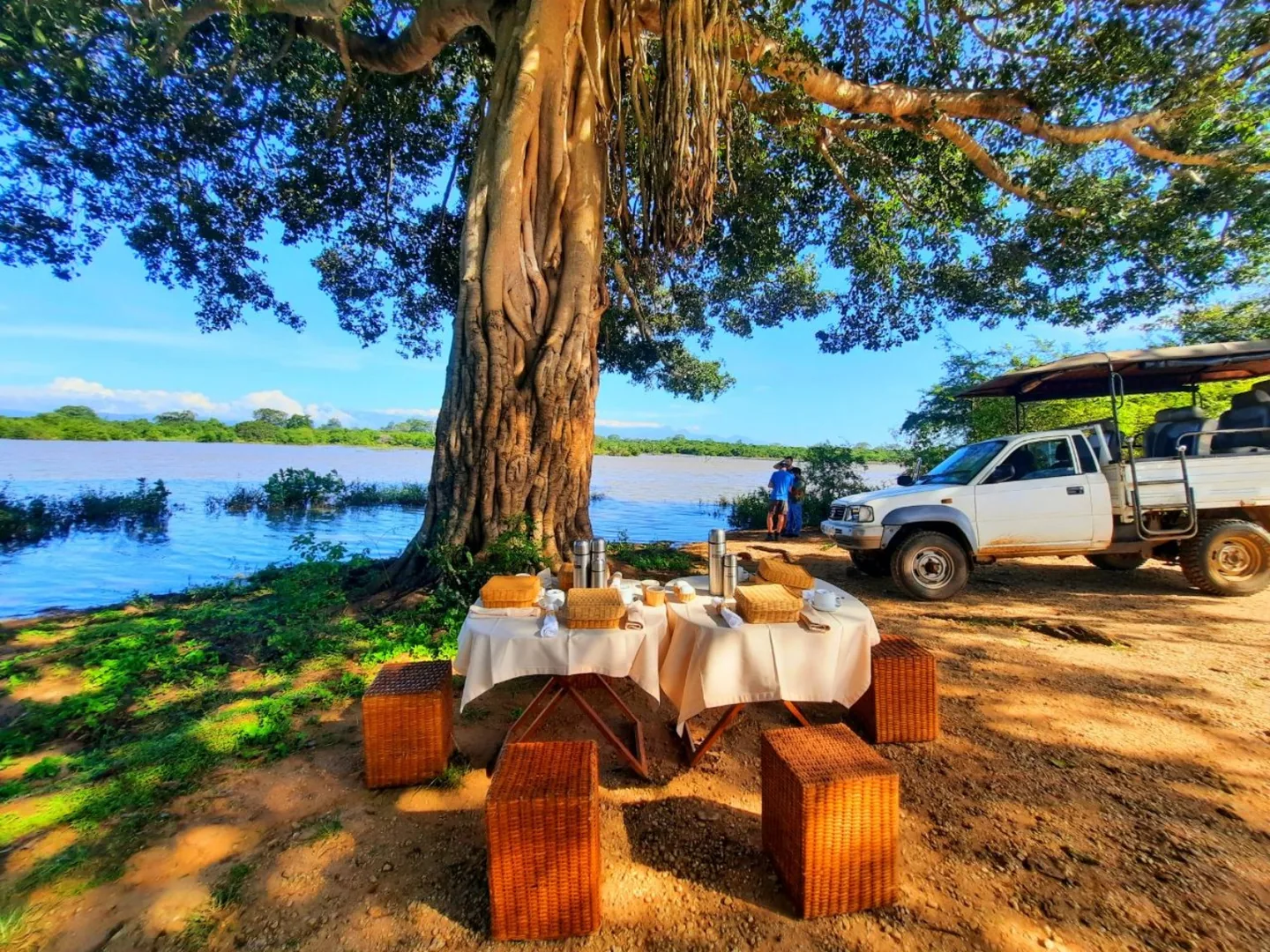 Tables and wicker stools beneath a large tree beside a lake and a safari jeep